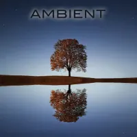 Arise