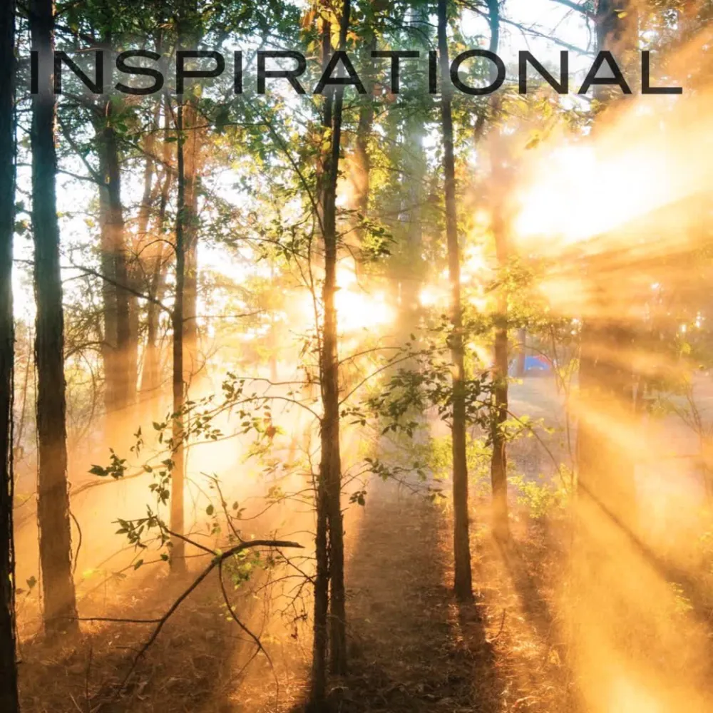Gold cover artwork