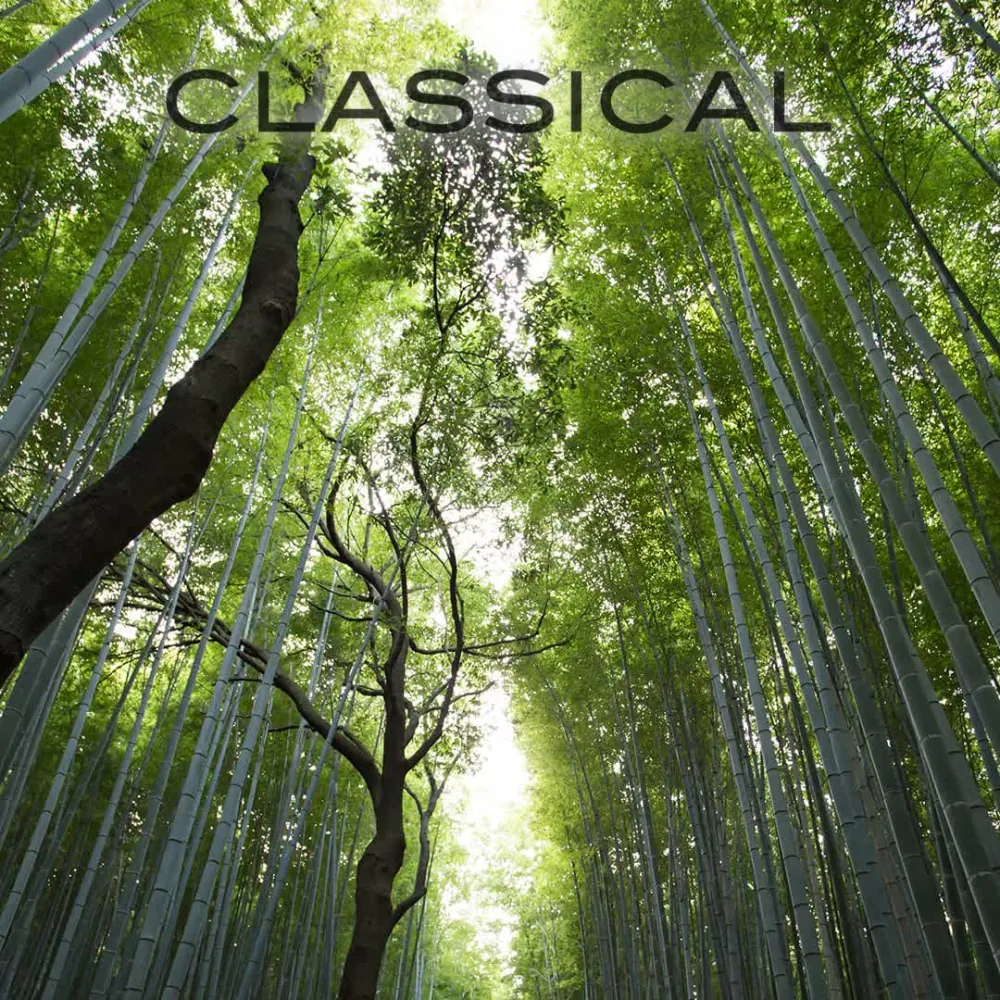 Jesu, Joy of Man's Desiring cover artwork